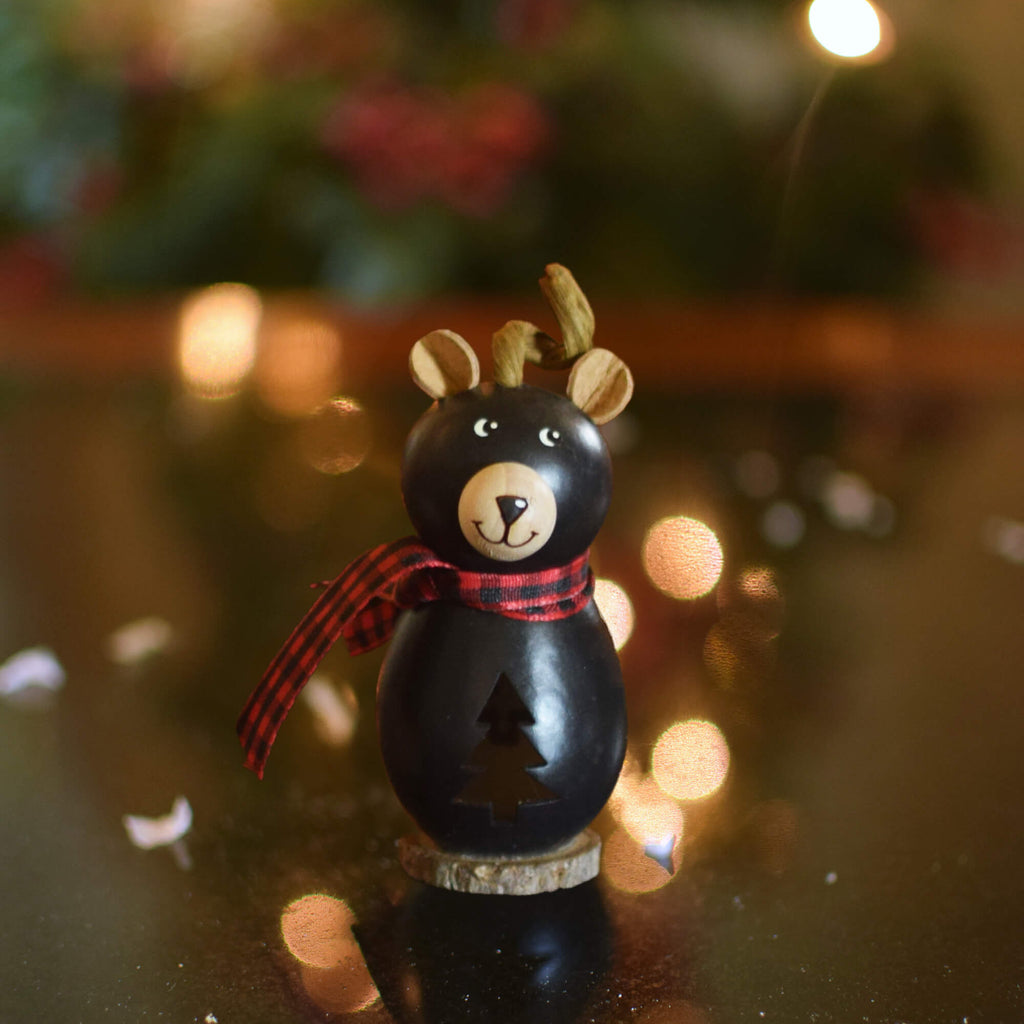 Lil Brooks Bear at Meadowbrooke Gourds. 