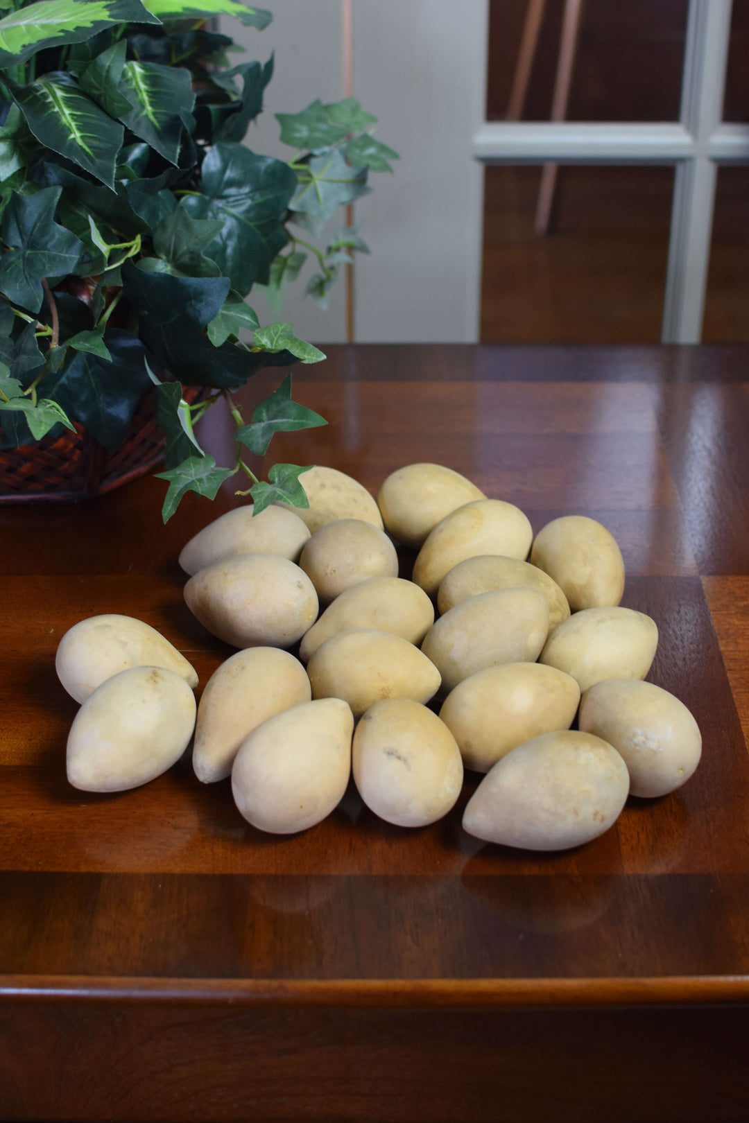 Raw clean large gourd eggs at Meadowbrooke Gourds