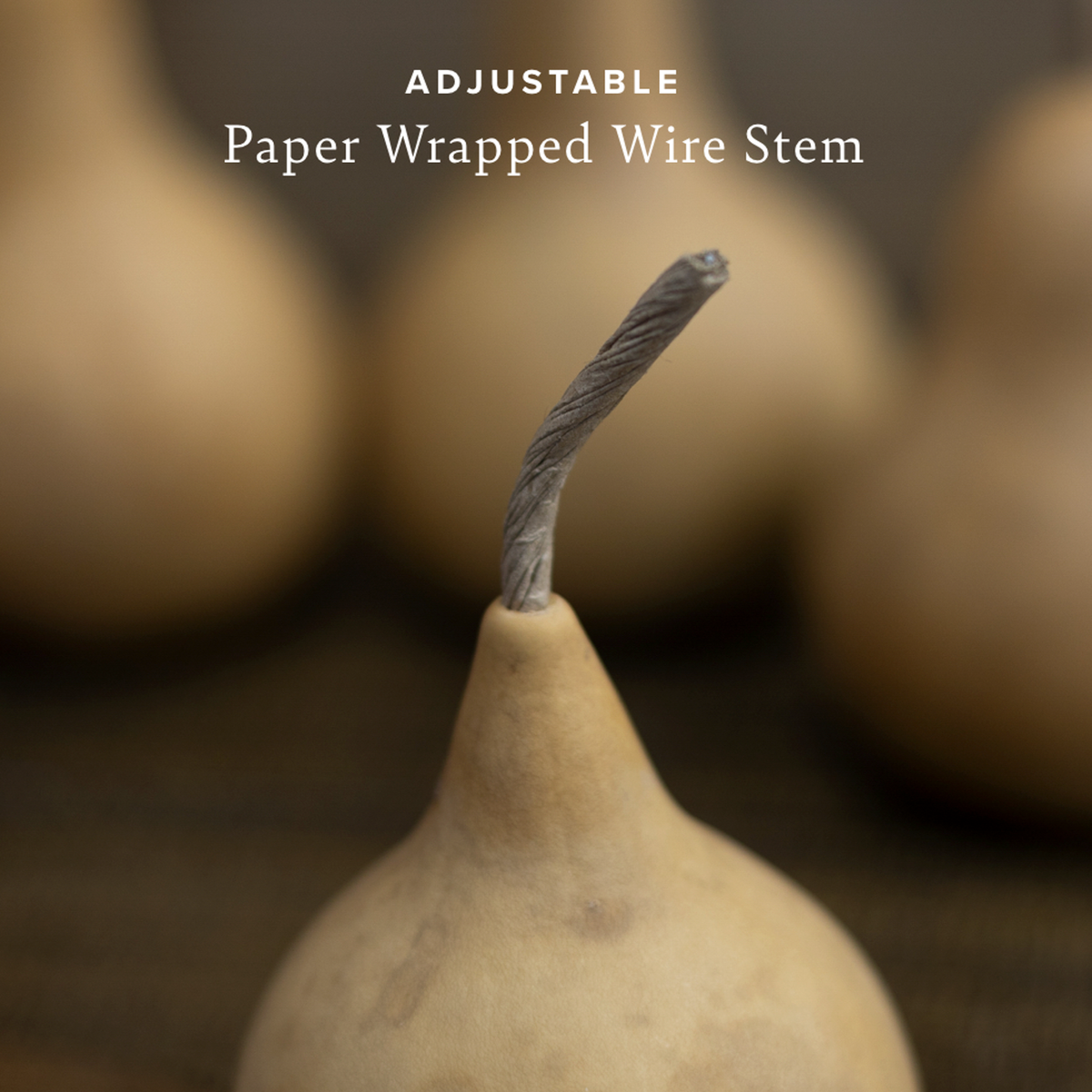 Close-up picture of paper wrapped wire stem.