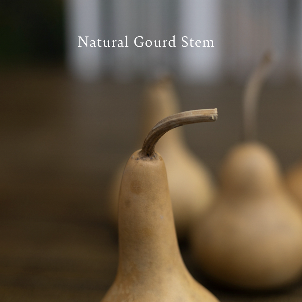 Dried Bottle Gourd - 2" in Diameter