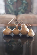 Mini kettle gourds at Meadowbrooke Gourds