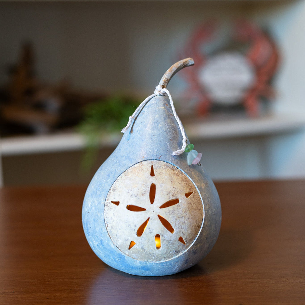 Sand Dollar Gourd at Meadowbrooke Gourds. 