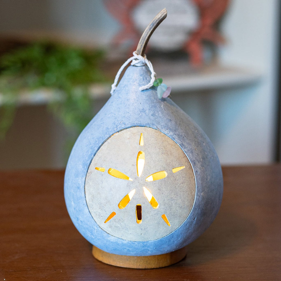 Sand Dollar Gourd at Meadowbrooke Gourds. 