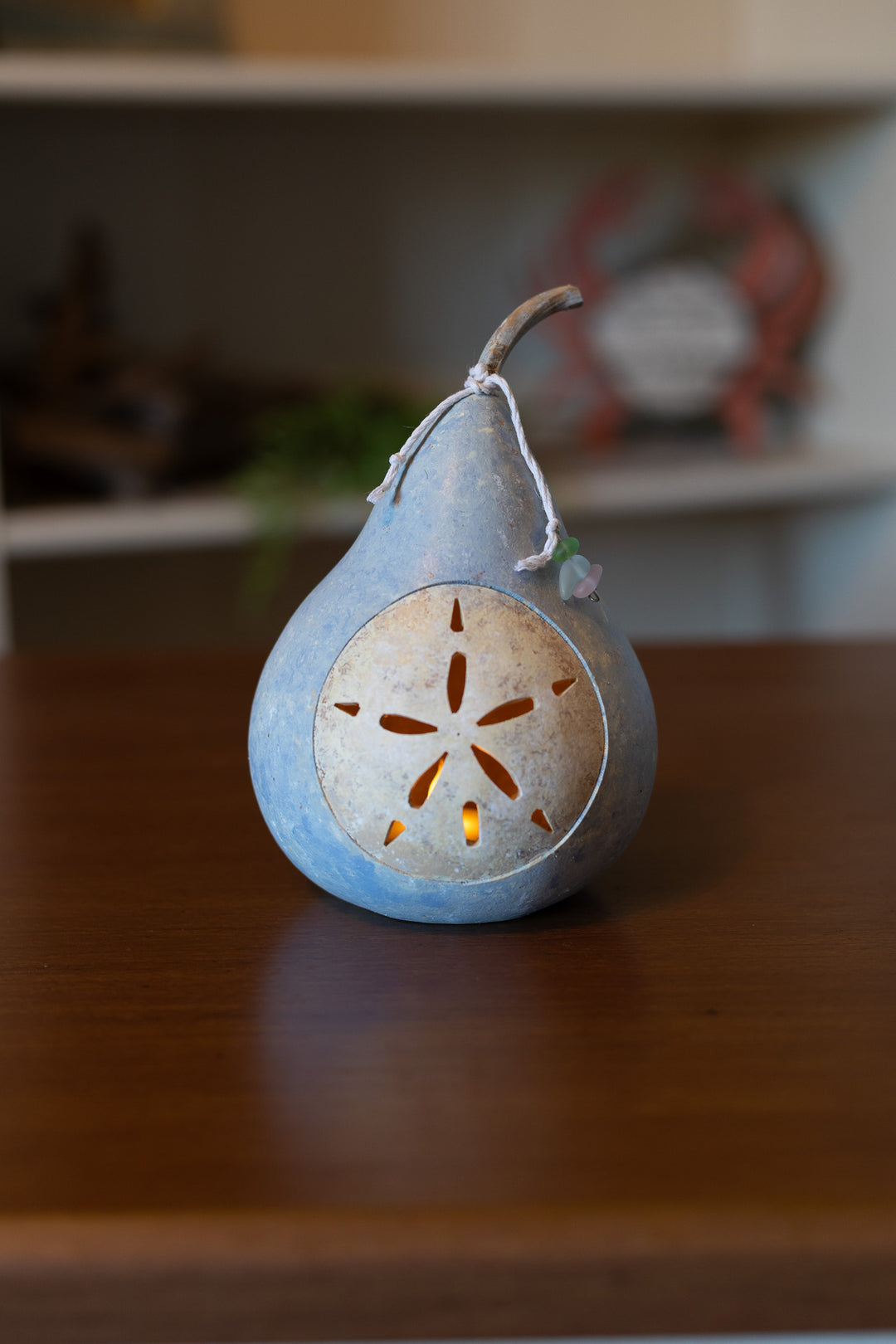 Sand Dollar Miniature at Meadowbrooke Gourds. 