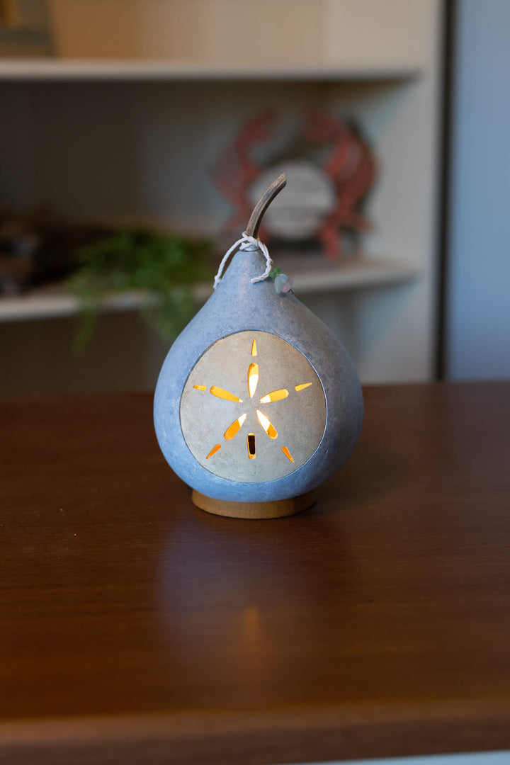 Sand Dollar Medium Lit at Meadowbrooke Gourds. 