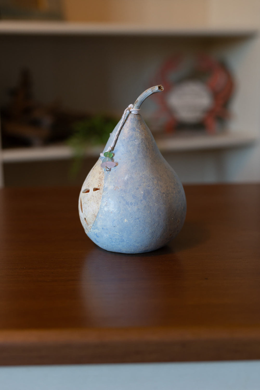 Sand Dollar Miniature Side View at Meadowbrooke Gourds. 