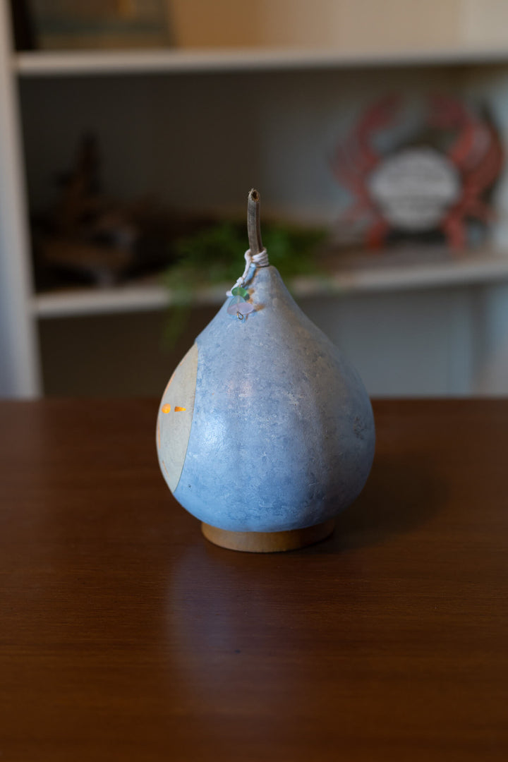 Sand Dollar Miniature Side View at Meadowbrooke Gourds. 
