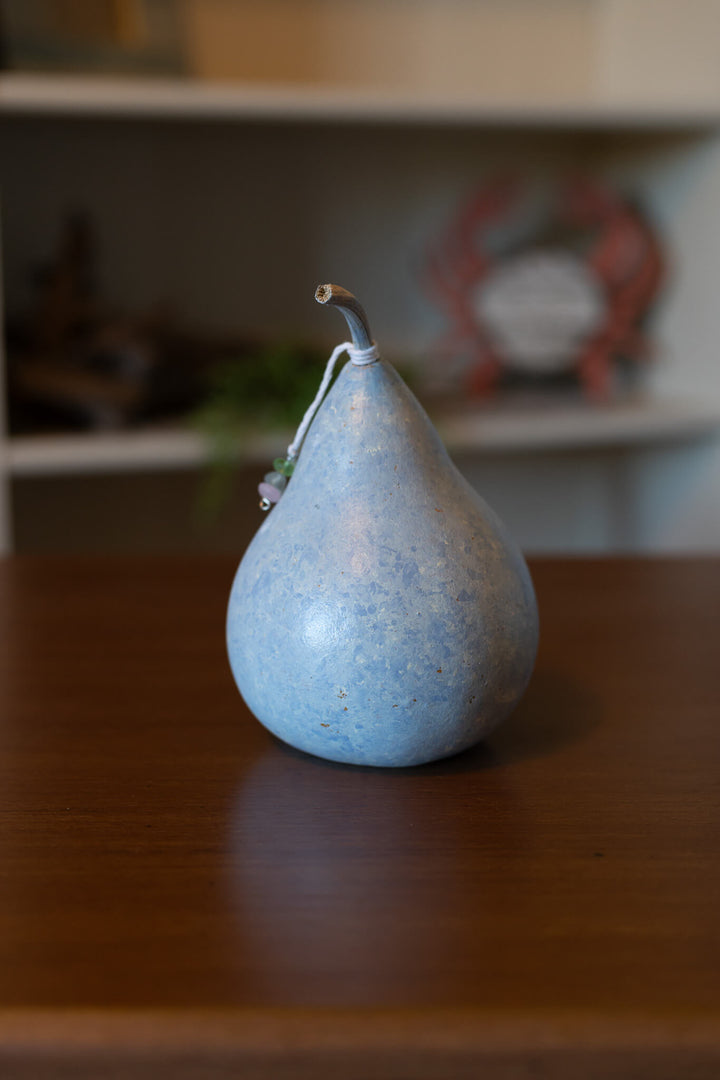 Sand Dollar Miniature Back View at Meadowbrooke Gourds. 