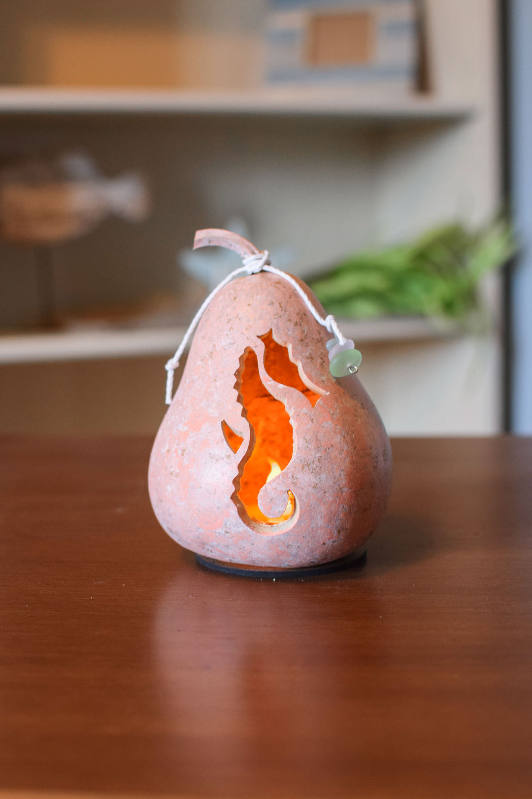 Seahorse - Miniature design by Meadowbrooke Gourds
