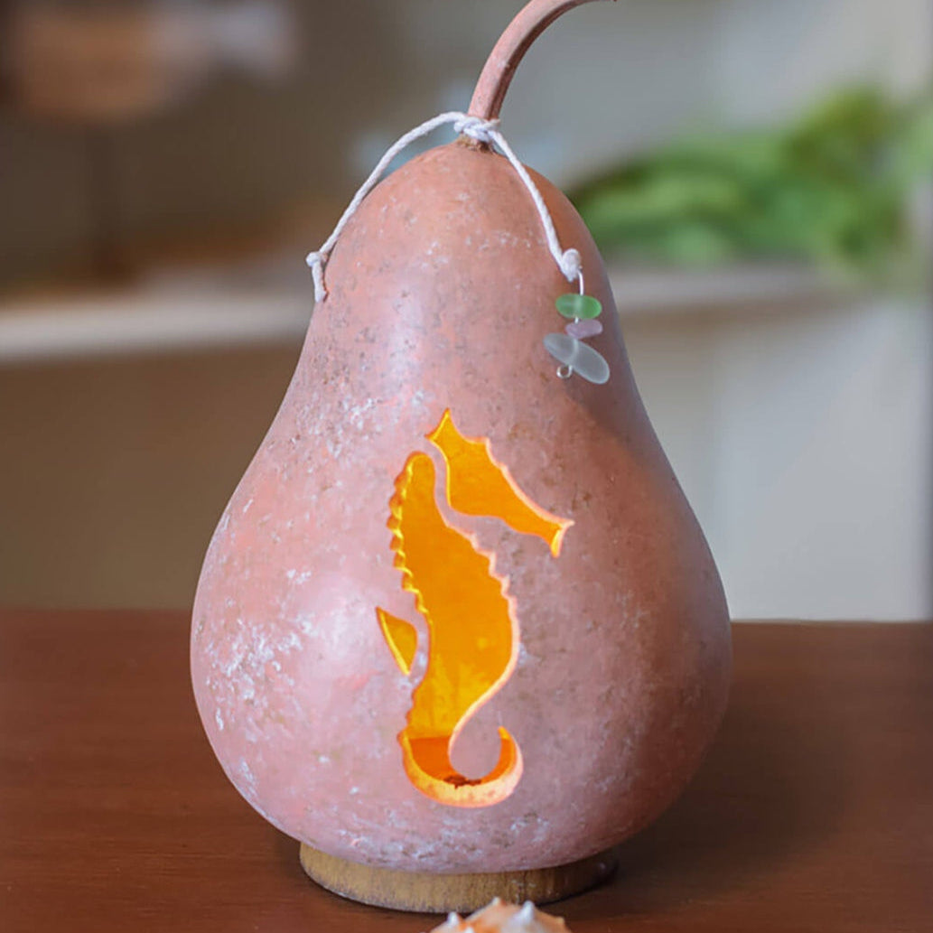 Sea Horse Gourd at Meadowbrooke Gourds. 