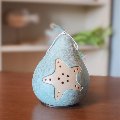 Star Fish Gourd at Meadowbrooke Gourds. 