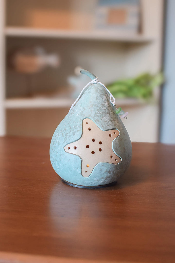 Star Fish Gourd at Meadowbrooke Gourds. 
