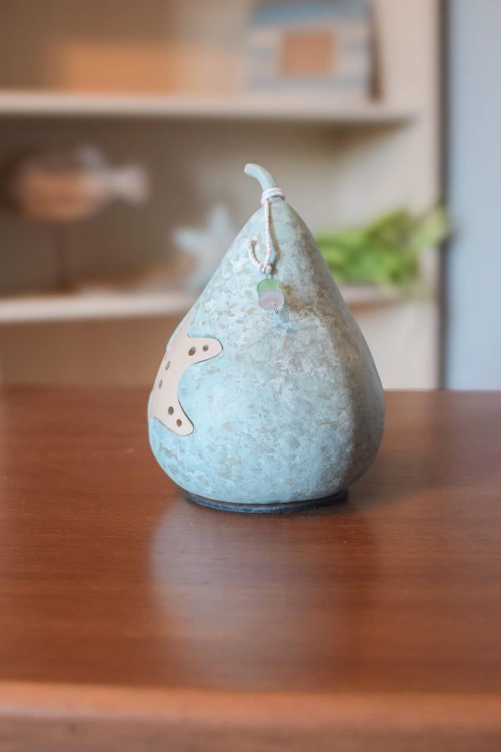 Star Fish Gourd Side View at Meadowbrooke Gourds. 