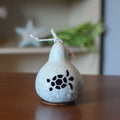 Tiny Turtle Gourd at Meadowbrooke Gourds. 