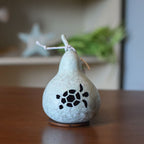 Tiny Turtle Gourd at Meadowbrooke Gourds. 