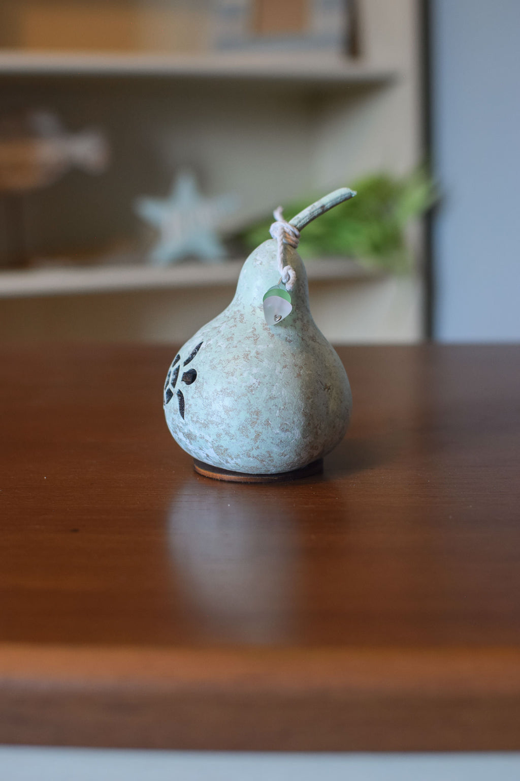 Tiny Turtle Gourd Side View at Meadowbrooke Gourds. 