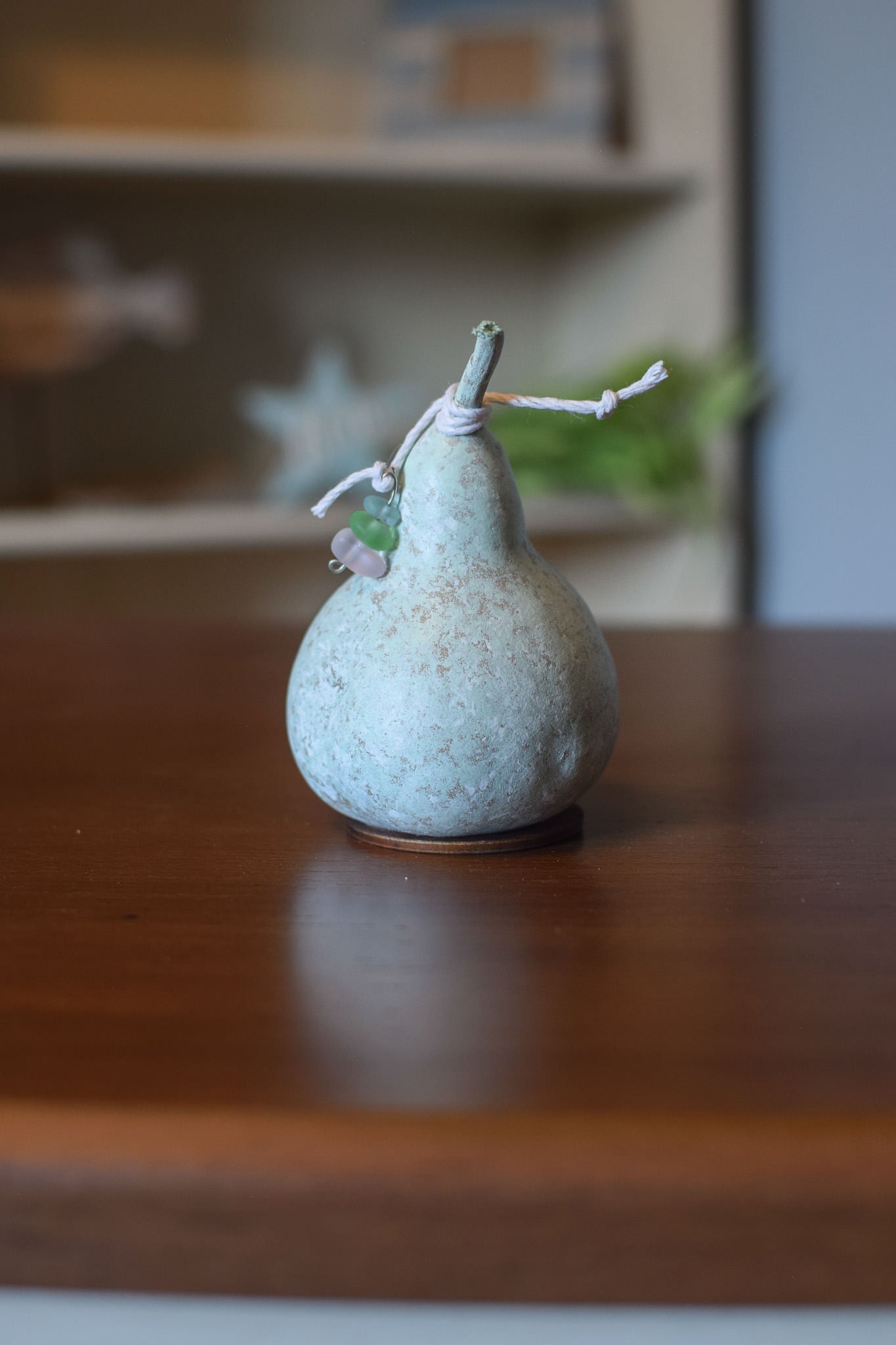 Tiny Turtle Gourd Side Back at Meadowbrooke Gourds. 