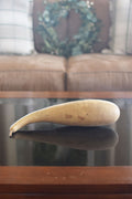 Raw penguin gourd at Meadowbrooke Gourds