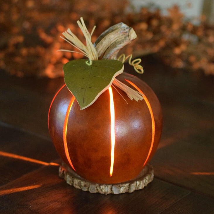 Small orange pumpkin luminary gourd at Meadowbrooke Gourds