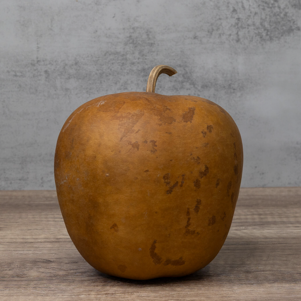 Dried Medium Apple Gourd