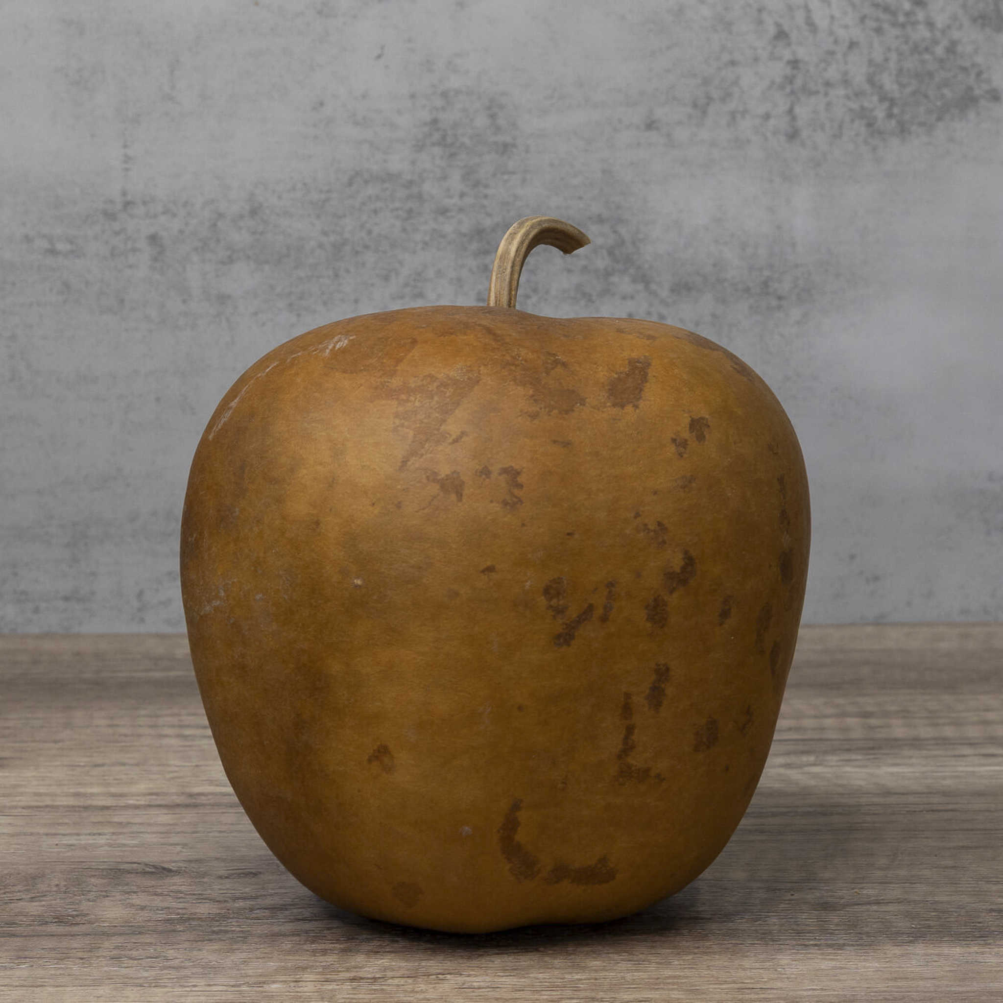 Dried Medium Apple Gourd