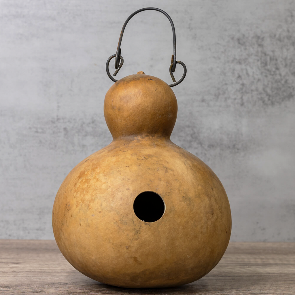 Dried Cabin Birdhouse Gourd