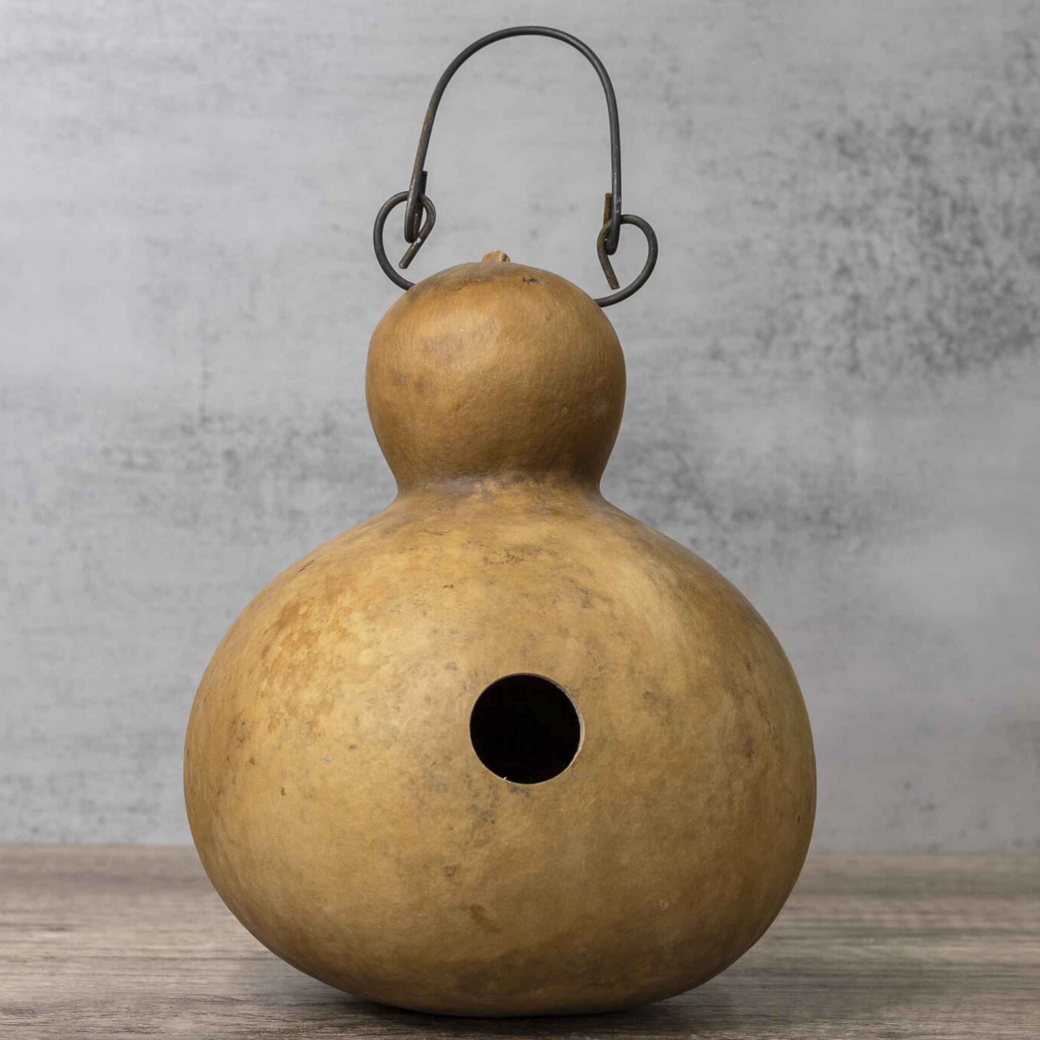 Dried Cabin Birdhouse Gourd