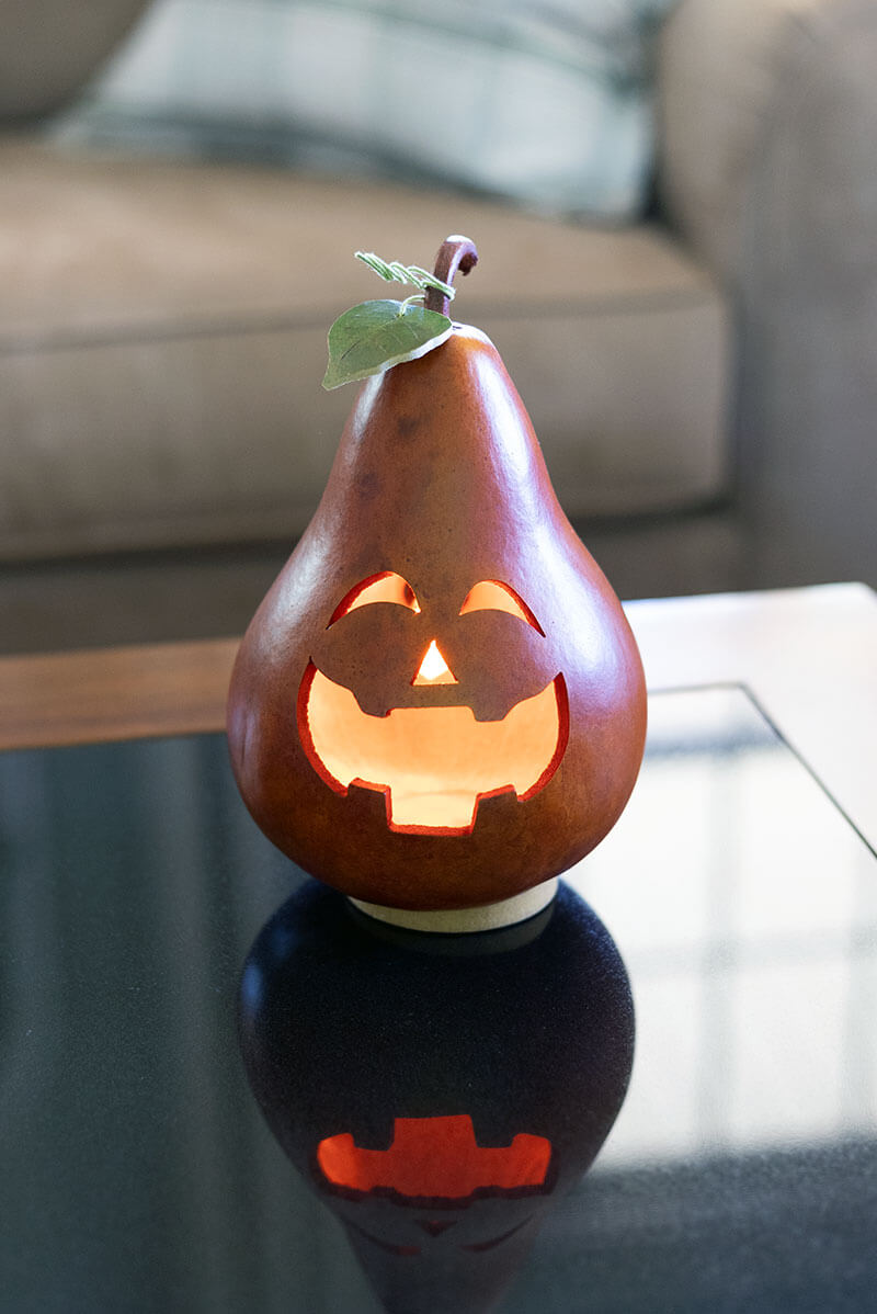 Rowan Gourd Jack-O-Lantern at Meadowbrooke Gourds. 