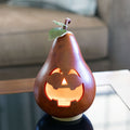 Rowan Gourd Jack-O-Lantern at Meadowbrooke Gourds. 