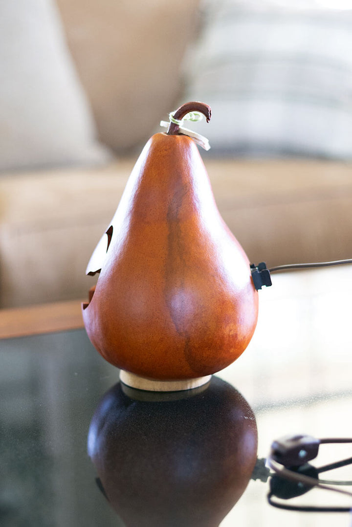 Rowan Gourd Jack-O-Lantern Side View at Meadowbrooke Gourds. 