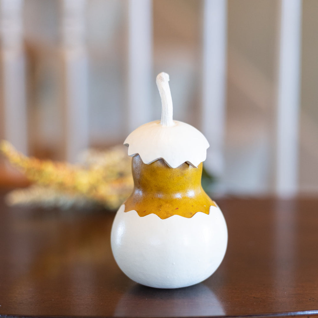 Flora Tiny Gourd Back View at Meadowbrooke Gourds. 