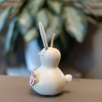 Stella Small Bunny Gourd Side View at Meadowbrooke Gourds. 