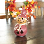 Scarecrow Craft Kit at Meadowbrooke Gourds. 