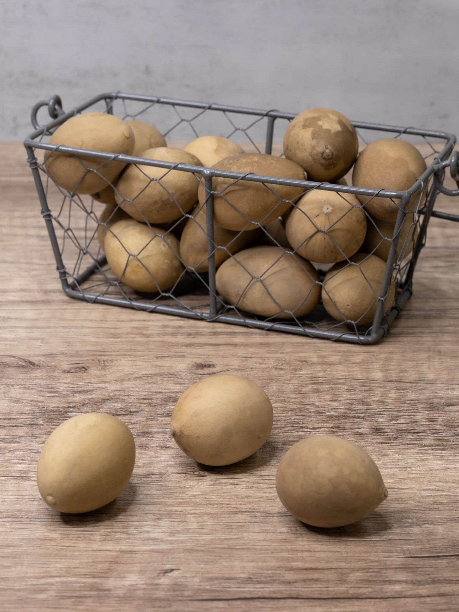 Unfinished Gourd Eggs at Meadowbrooke Gourds. 