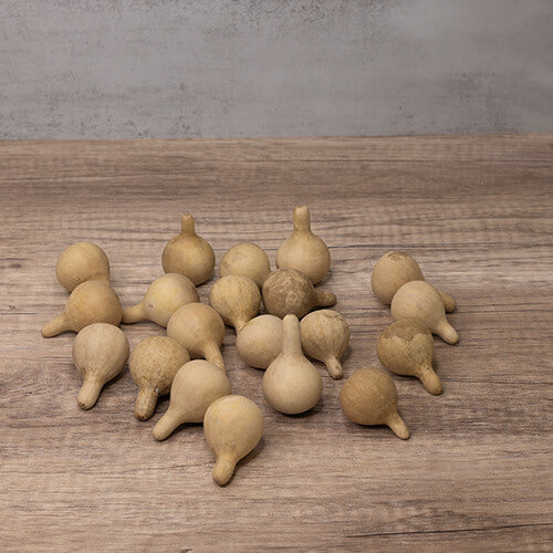 Spinner Gourds at Meadowbrooke Gourds. 