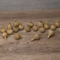 Spinner Gourds at Meadowbrooke Gourds. 