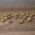 Spinner Gourds at Meadowbrooke Gourds. 