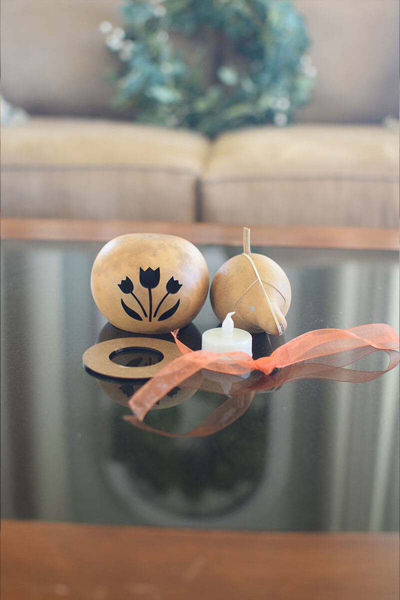 Spring duck gourd craft kit at Meadowbrooke Gourds