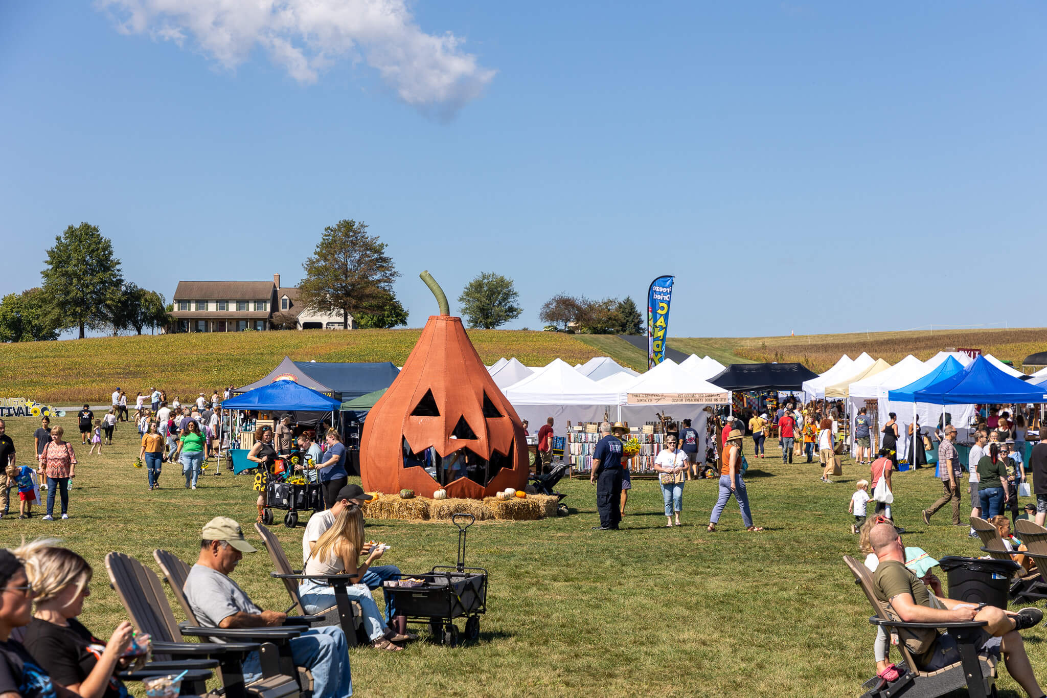 Sunflower Festival at Meadowbrooke Gourds - Event