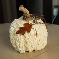 White Textured Pumpkin Gourd at Meadowbrooke Gourds. 