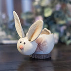Tiny Lilly Bunny Basket Gourd at Meadowbrooke Gourds. 
