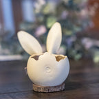 Tiny Lilly Bunny Basket Gourd at Meadowbrooke Gourds. 