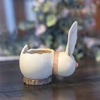 Tiny Lilly Bunny Basket Gourd at Meadowbrooke Gourds. 