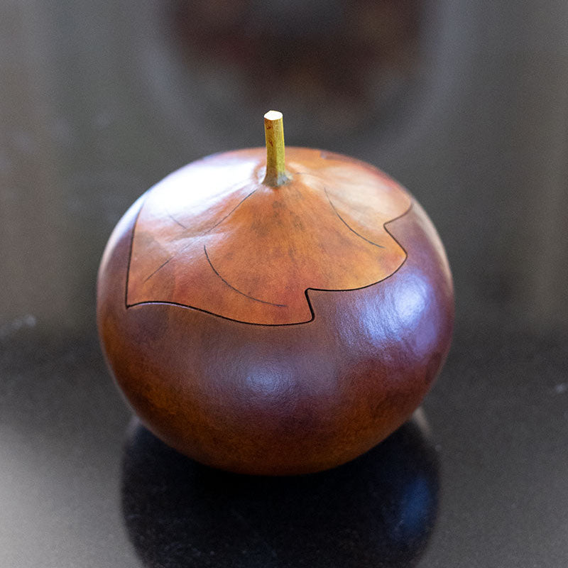 Treasure Box Gourd at Meadowbrooke Gourds. 