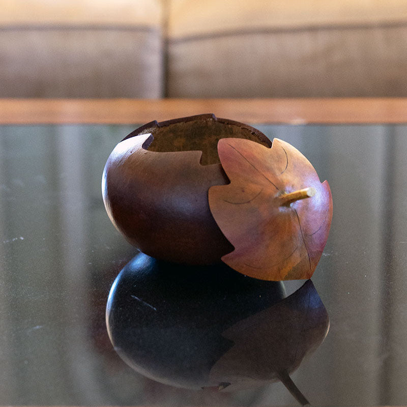 Treasure Box Gourd at Meadowbrooke Gourds. 