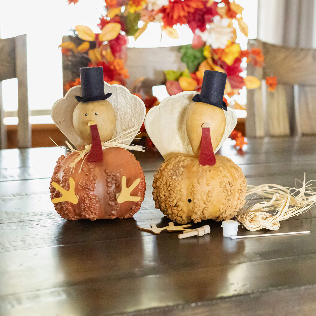 Turkey Craft Kit Gourd at Meadowbrooke Gourds. 