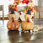 Turkey Craft Kit Gourd at Meadowbrooke Gourds. 