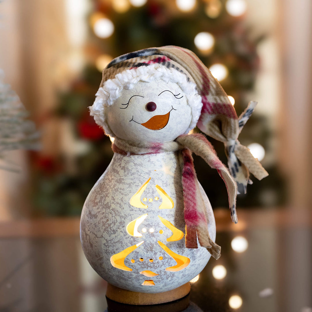 Blizzard Snow Lady Gourd Luminary Winter Decor crafted by Meadowbrooke Gourds