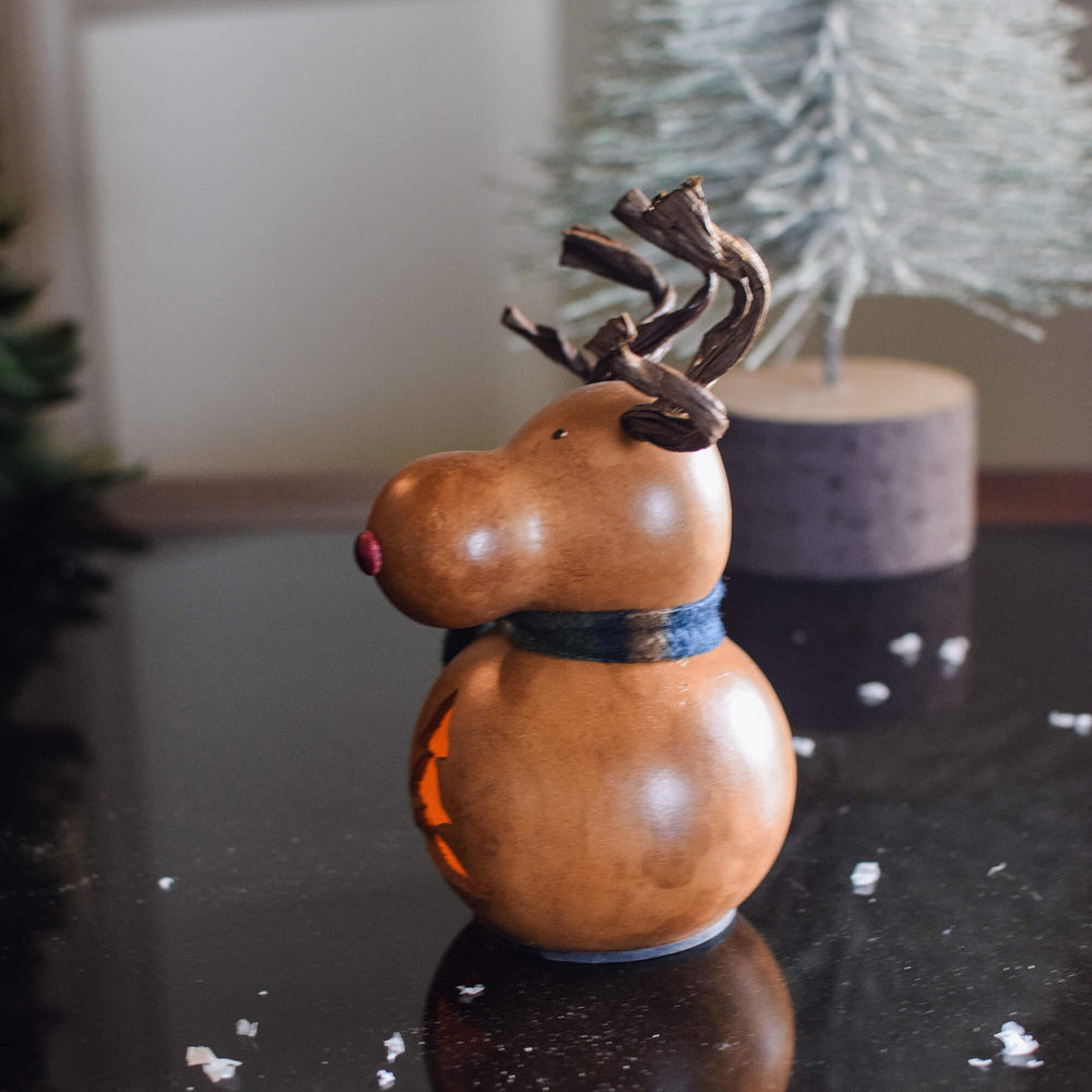 Dash Miniature Reindeer Gourd - Side View at Meadowbrooke Gourd. 