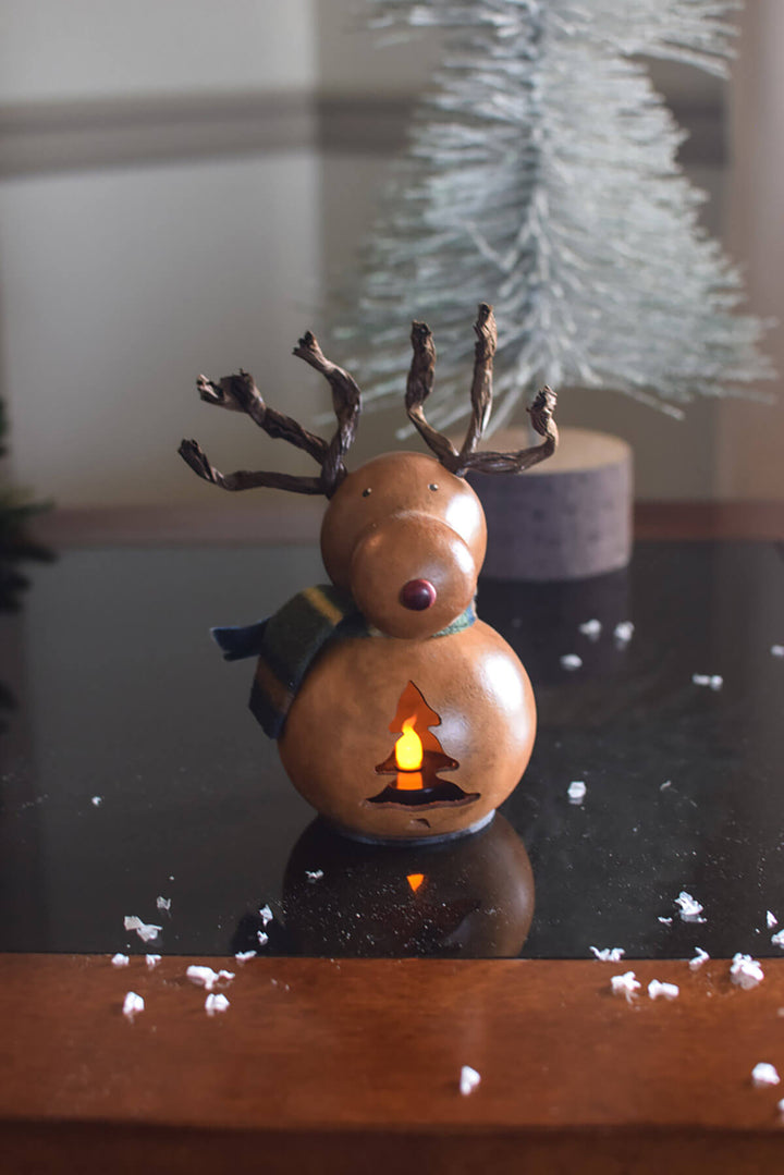 Dash the reindeer gourd at Meadowbrooke Gourds